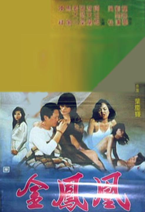 金凤凰1988海报