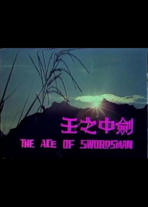 剑中之王海报