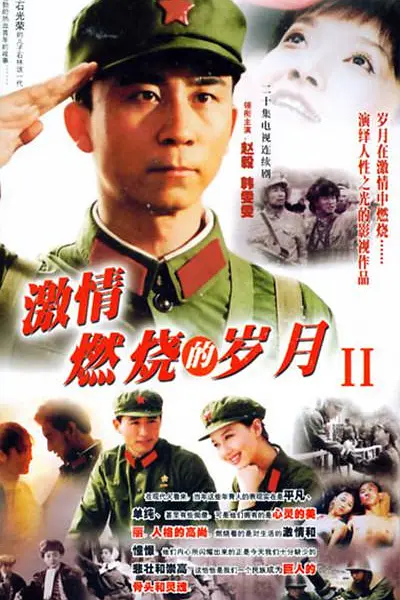 激情燃烧的岁月2海报
