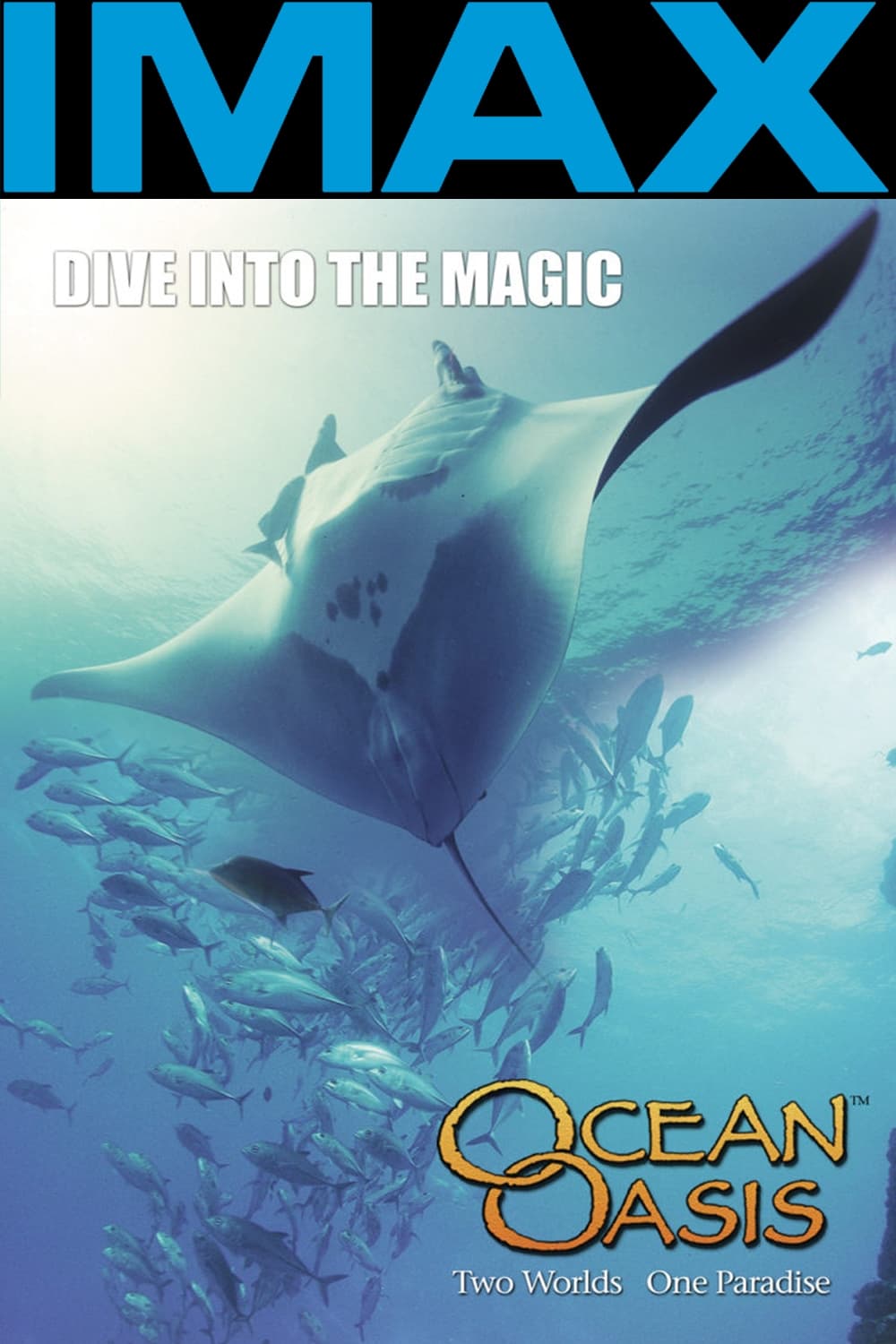 海洋绿洲海报