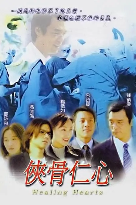 侠骨仁心国语海报