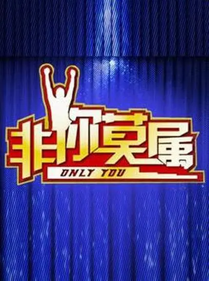 非你莫属海报