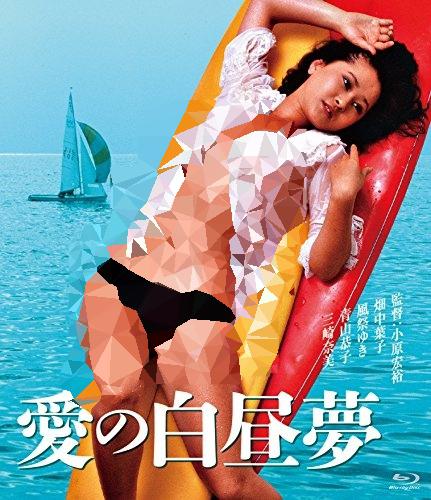 爱的白日梦海报