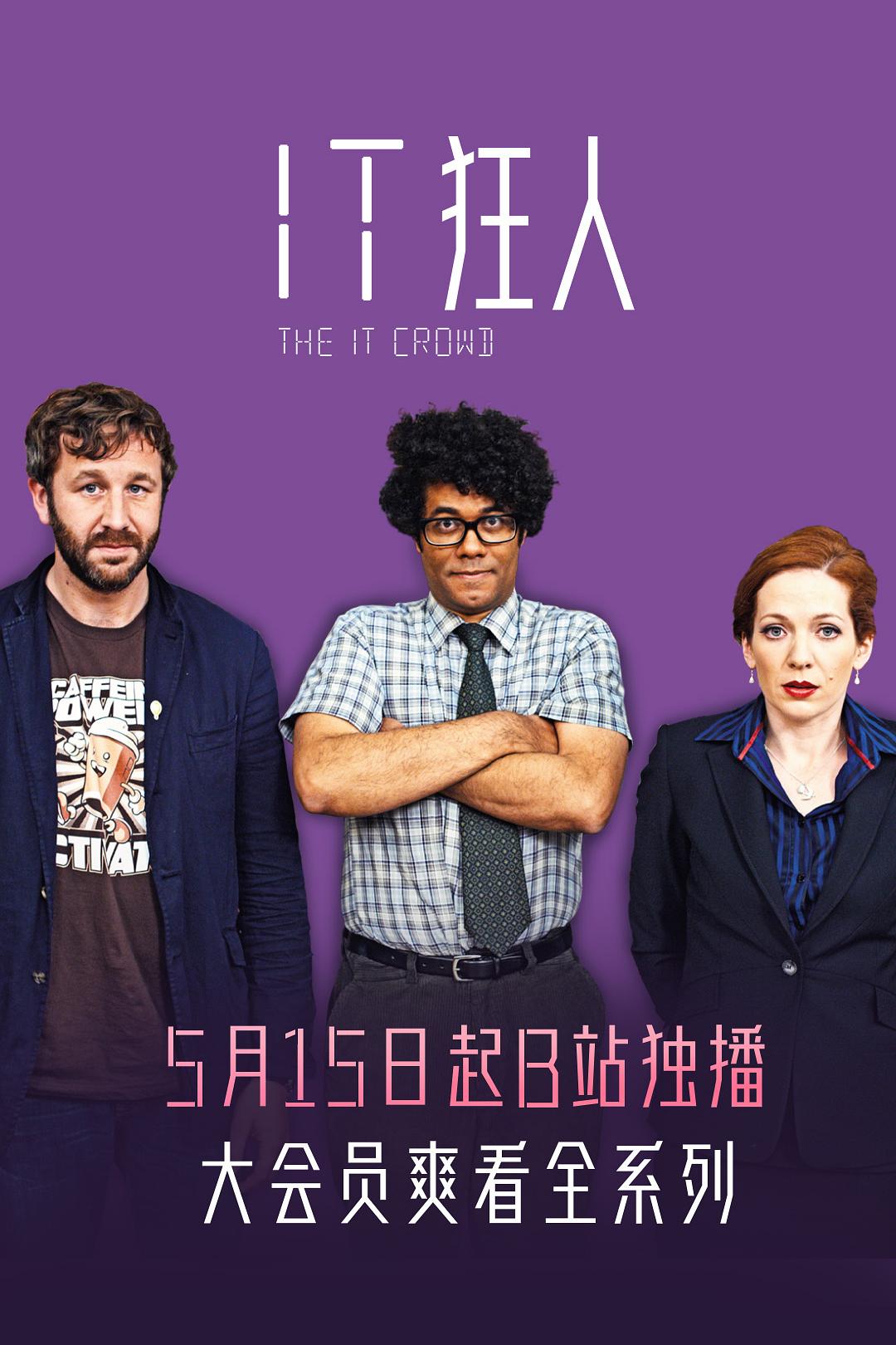 IT狂人特别篇海报