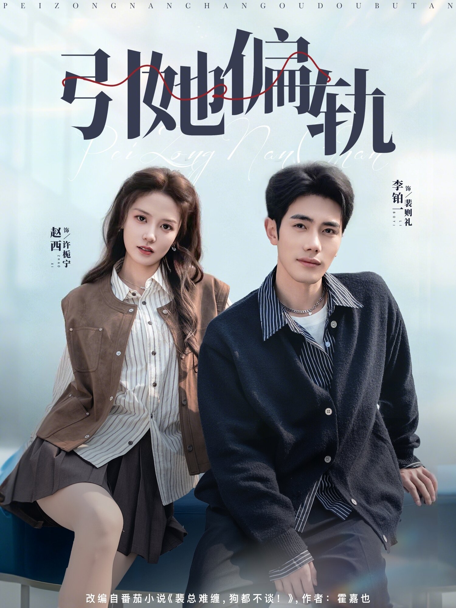 引她偏轨海报