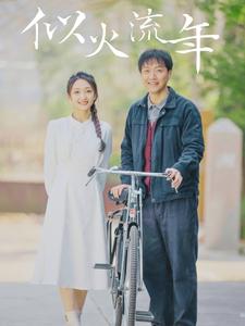 似火流年 短剧版海报