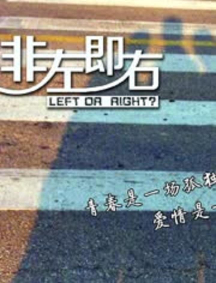 非左即右海报