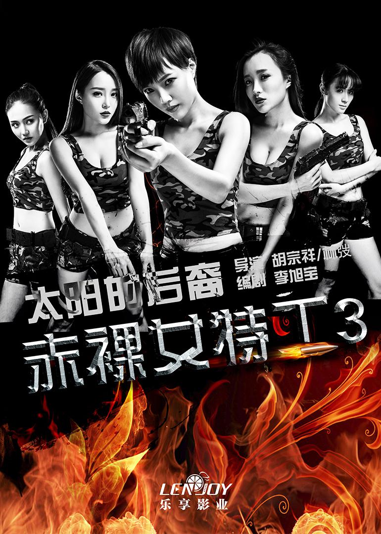 赤裸女特工3太阳的后裔海报