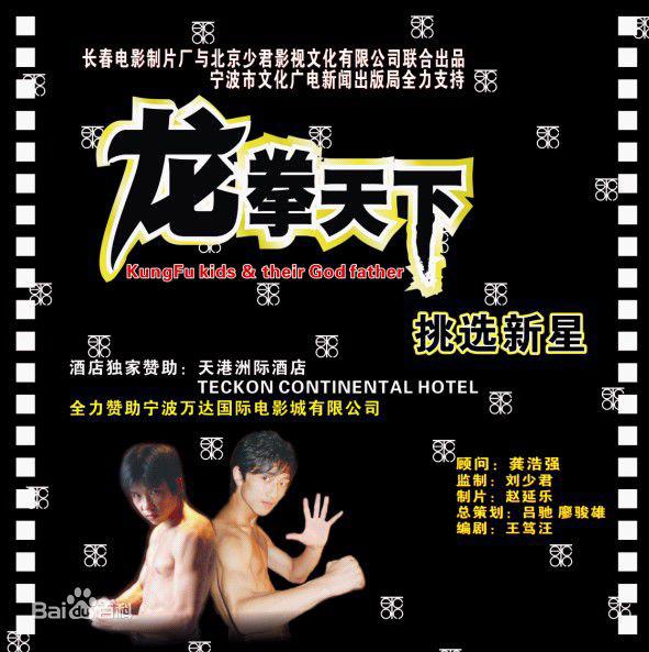 龙拳天下海报