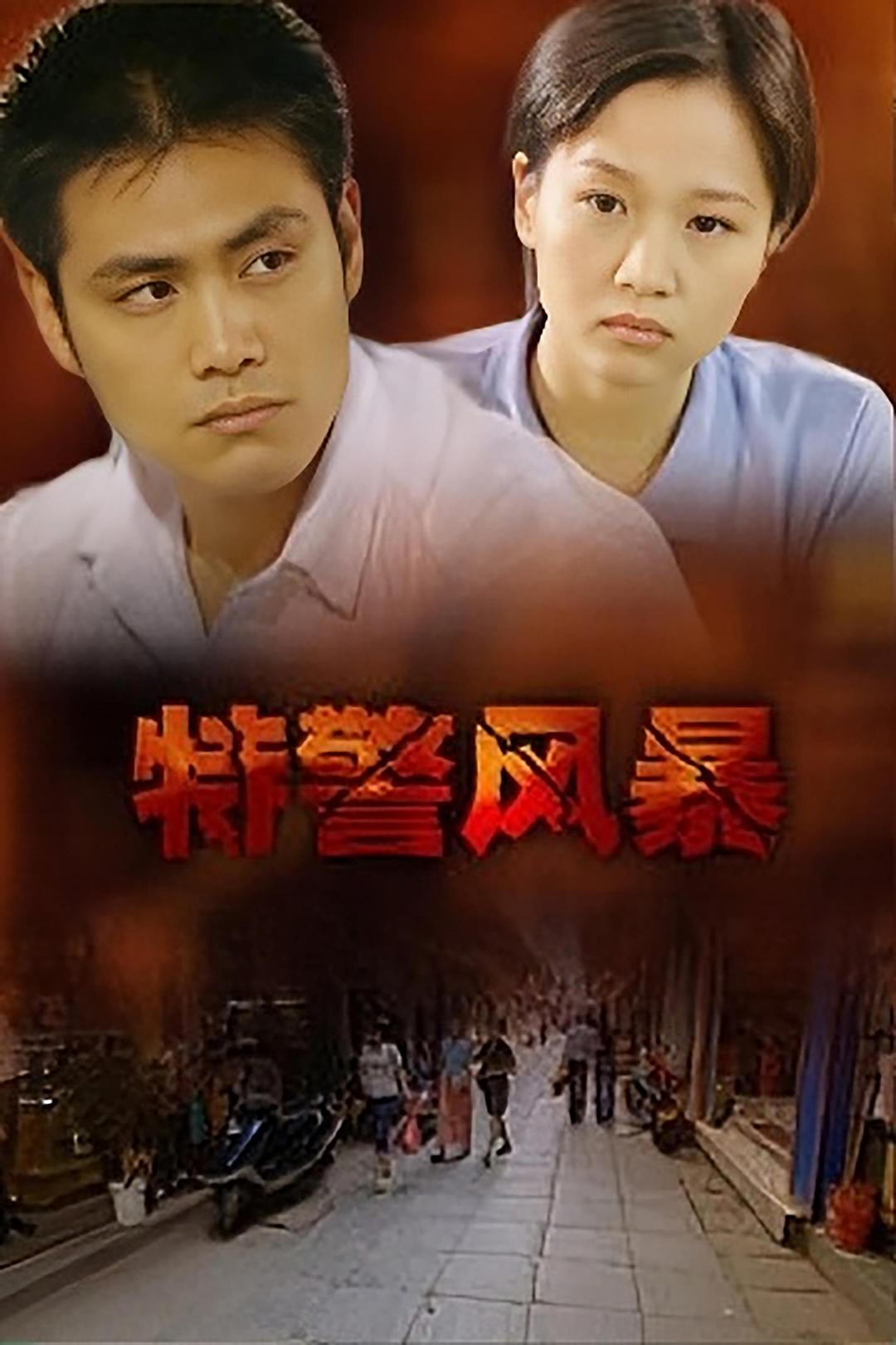 特警风暴海报