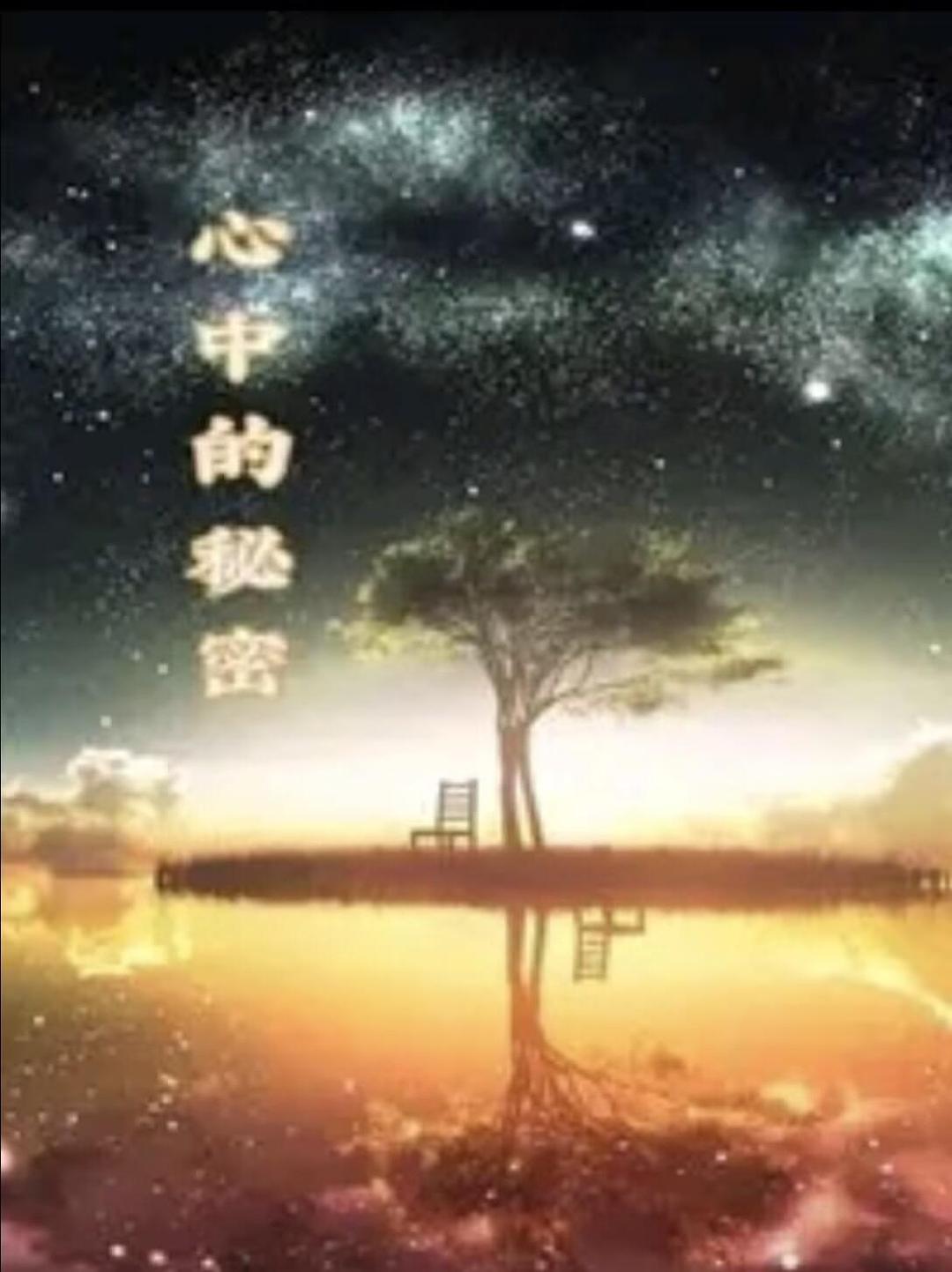 心中的秘密海报
