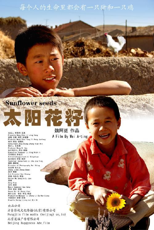 毛嗑儿海报