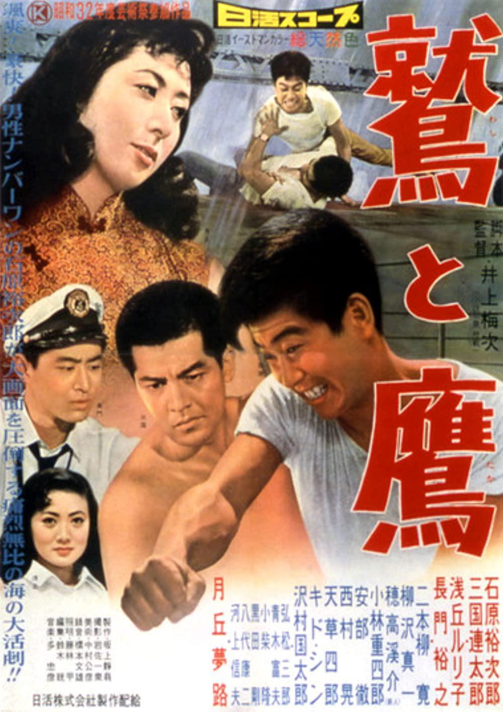 鹫与鹰海报