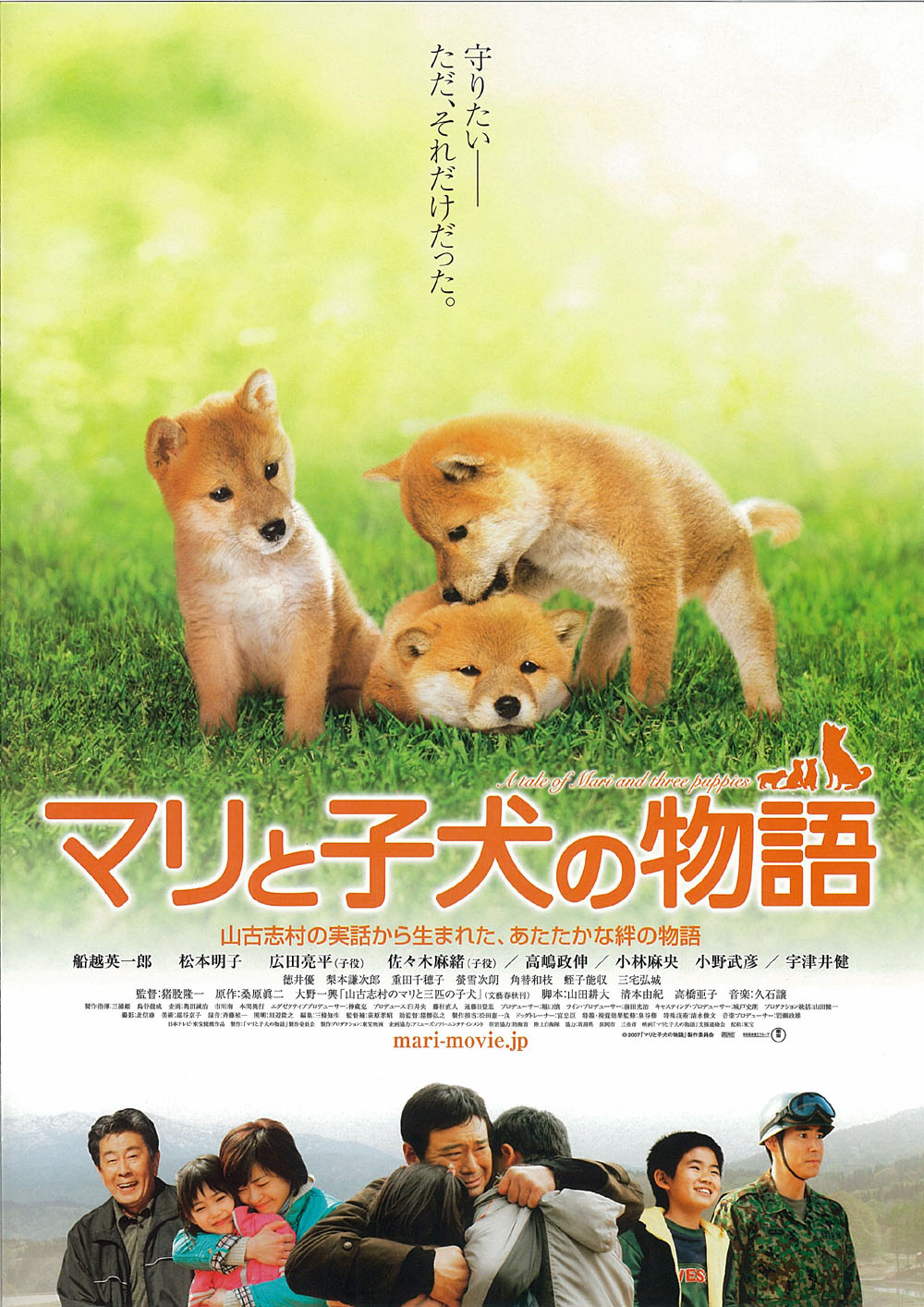 爱犬的奇迹海报