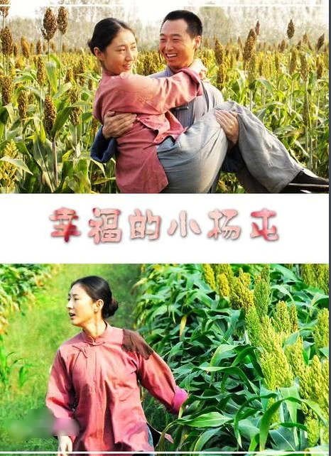 幸福的小杨屯海报