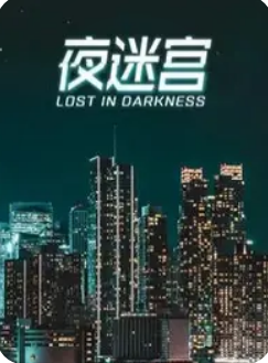 夜迷宫海报