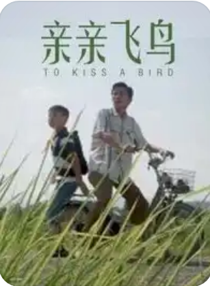 亲亲飞鸟海报