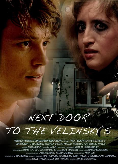 寻找真相海报