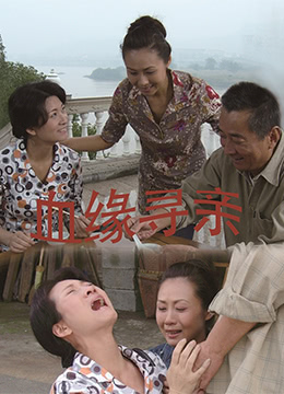 血缘寻亲海报