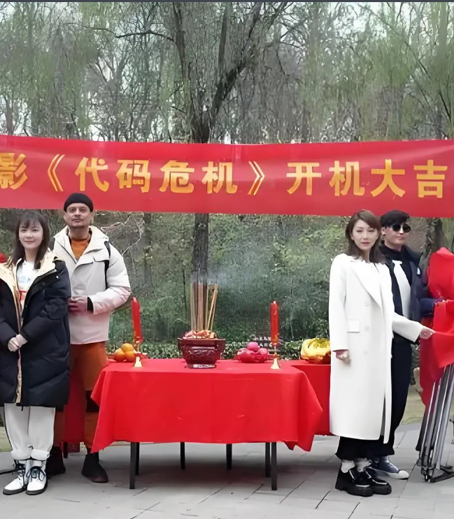 代码危机海报