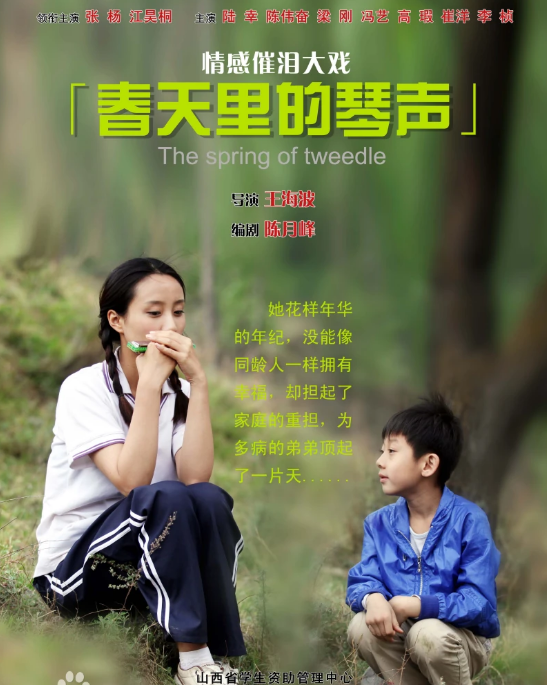 春天里的琴声海报