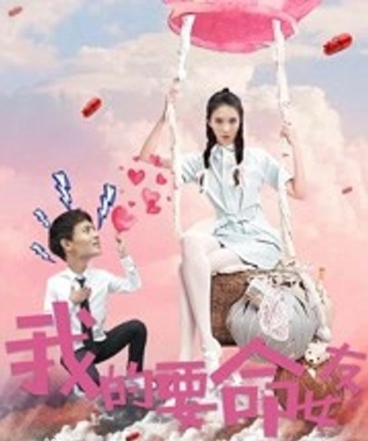我的要命女友海报