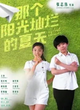 那个阳光灿烂的夏天海报