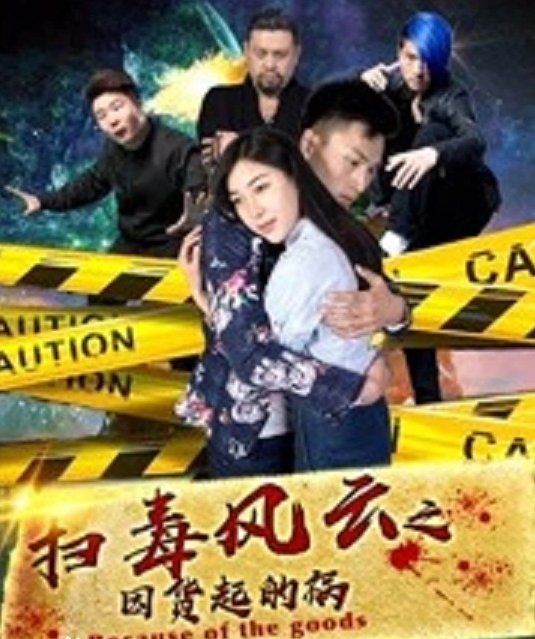 扫毒风云之因货起的祸海报