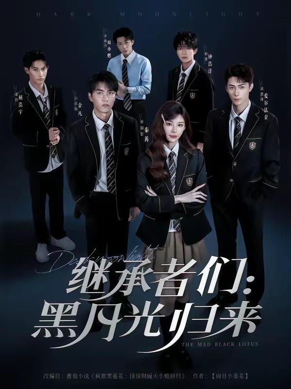 继承者们：黑月光归来第一季海报