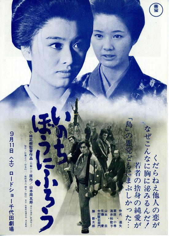 在我冒险的日子海报