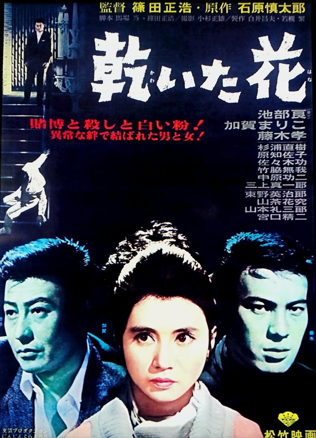 干花海报