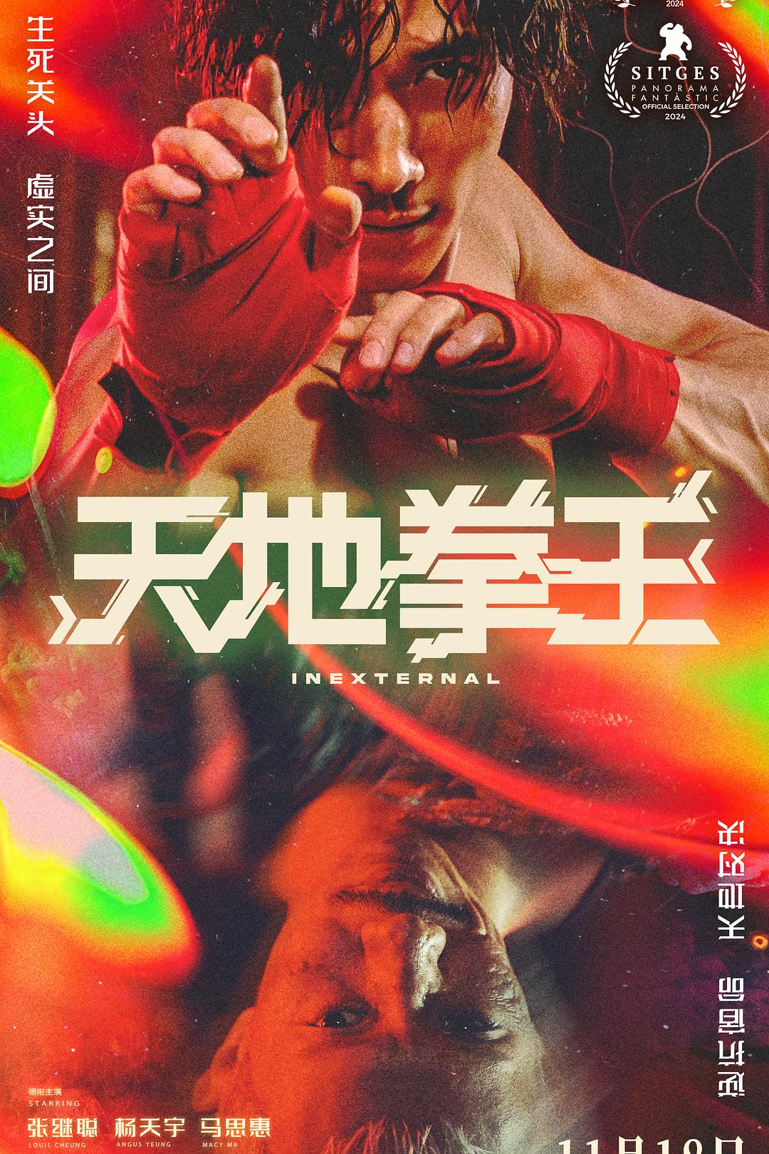天地拳王海报