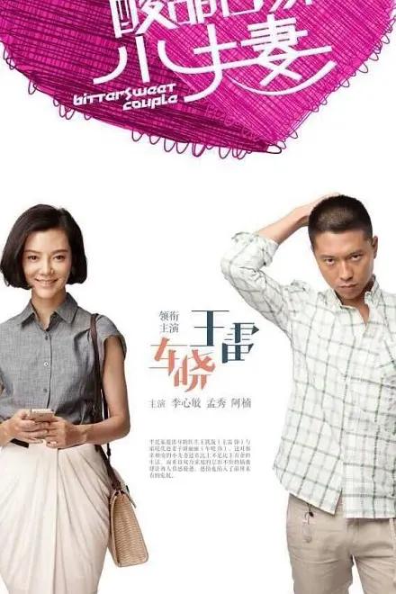 酸甜苦辣小夫妻海报