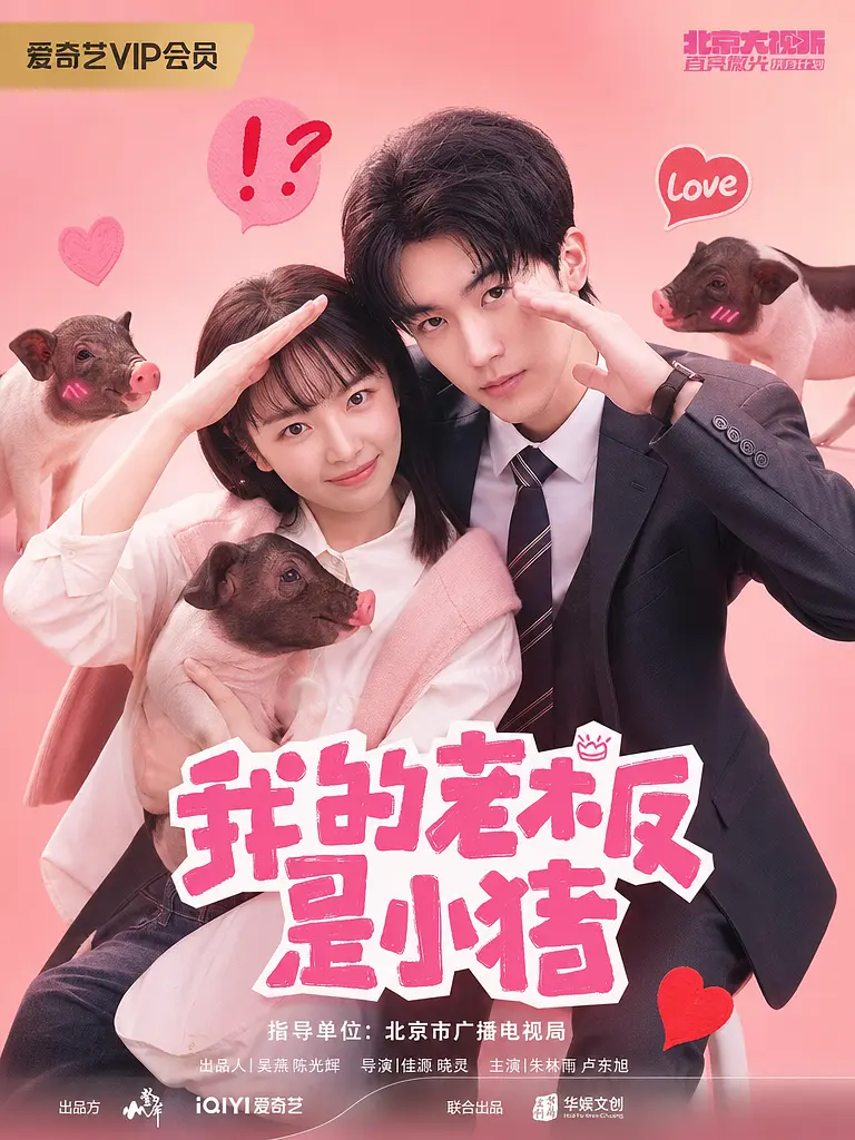 我的老板是小猪海报