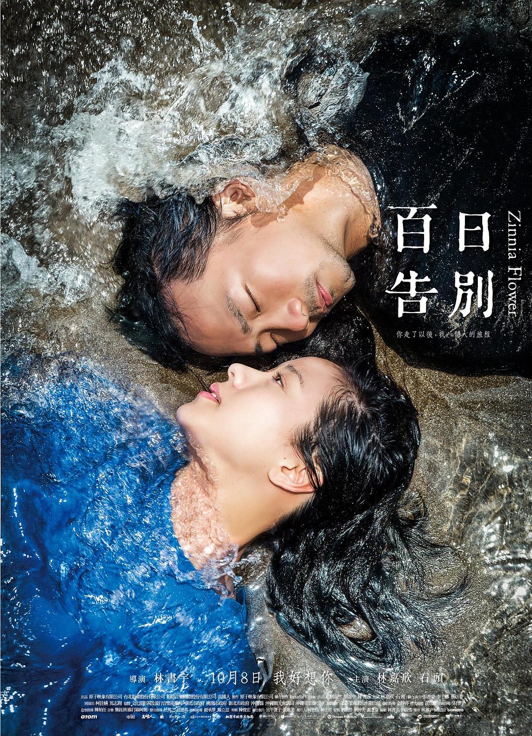 百日告別海报