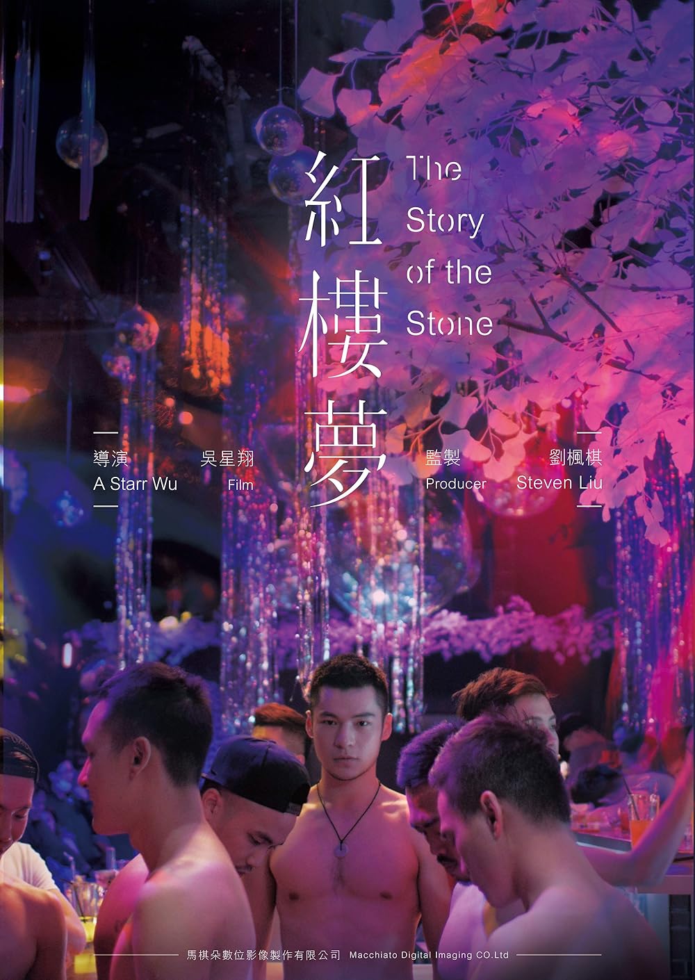 红楼梦2018海报