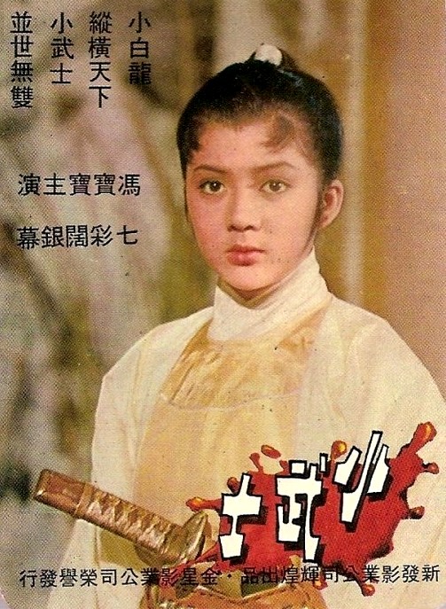 小武士海报