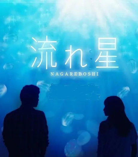 流星2010海报