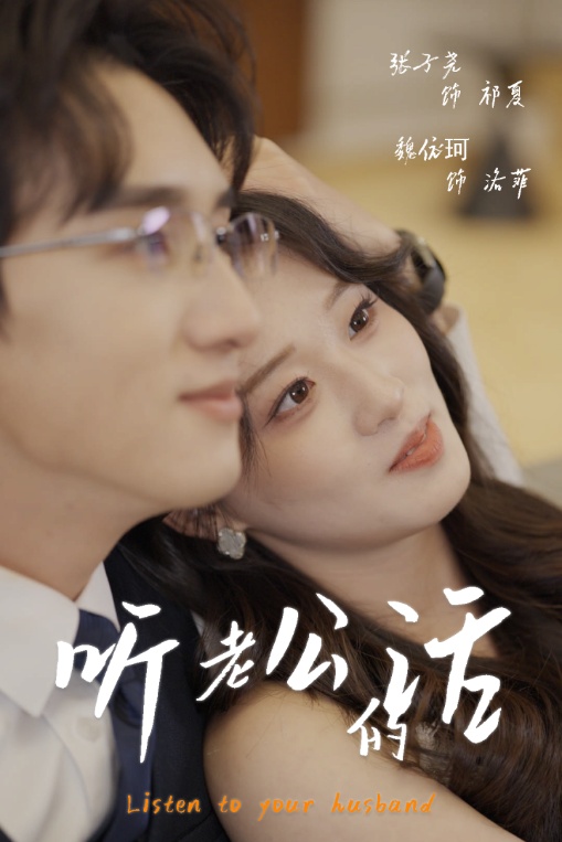 听老公的话海报