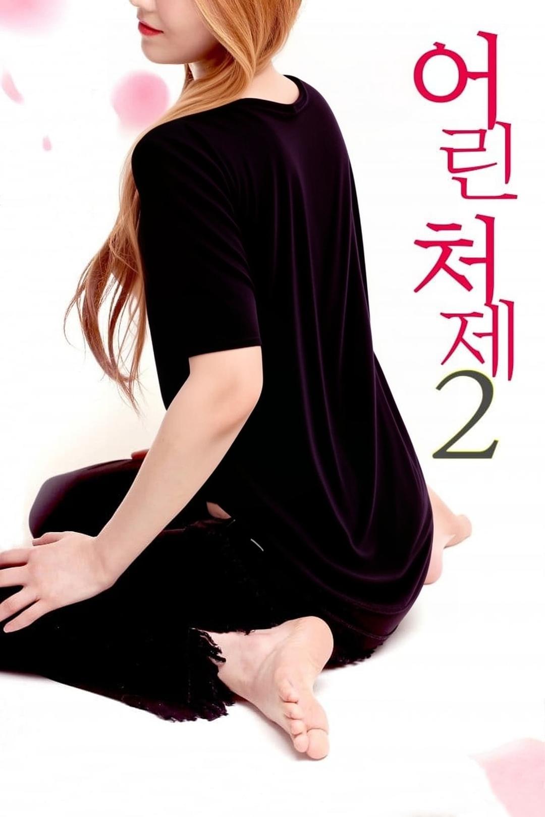 小姨子2海报