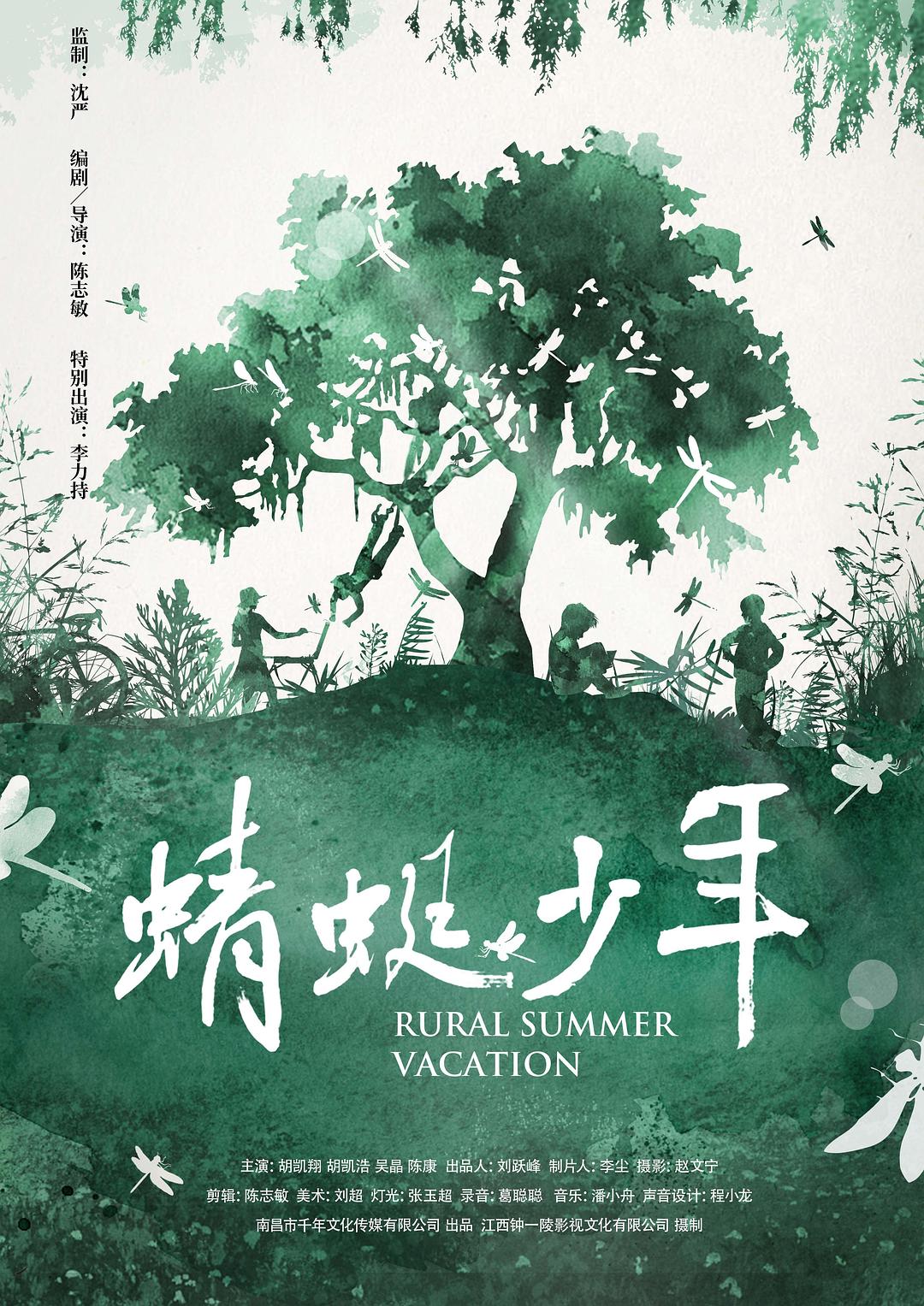 蜻蜓少年海报