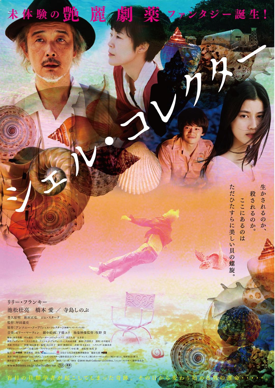 贝壳收藏家海报