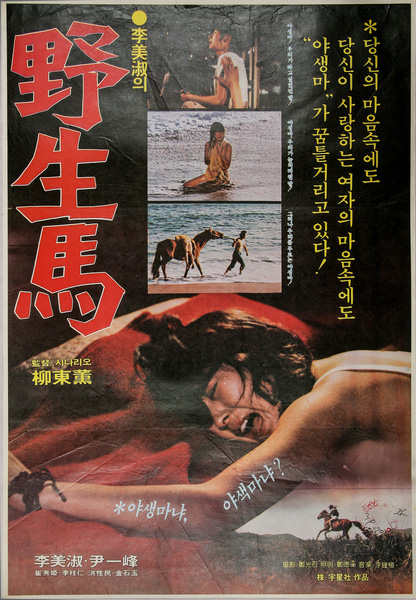 野生馬海报