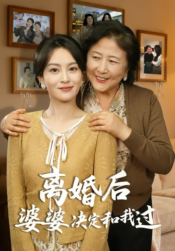 离婚后婆婆决定和我过海报