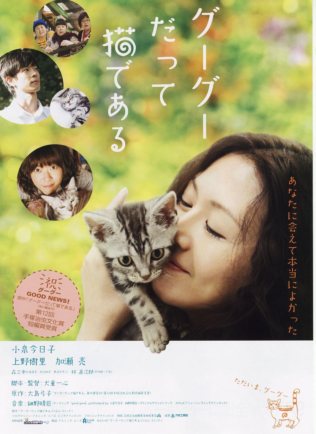 咕咕是一只猫海报
