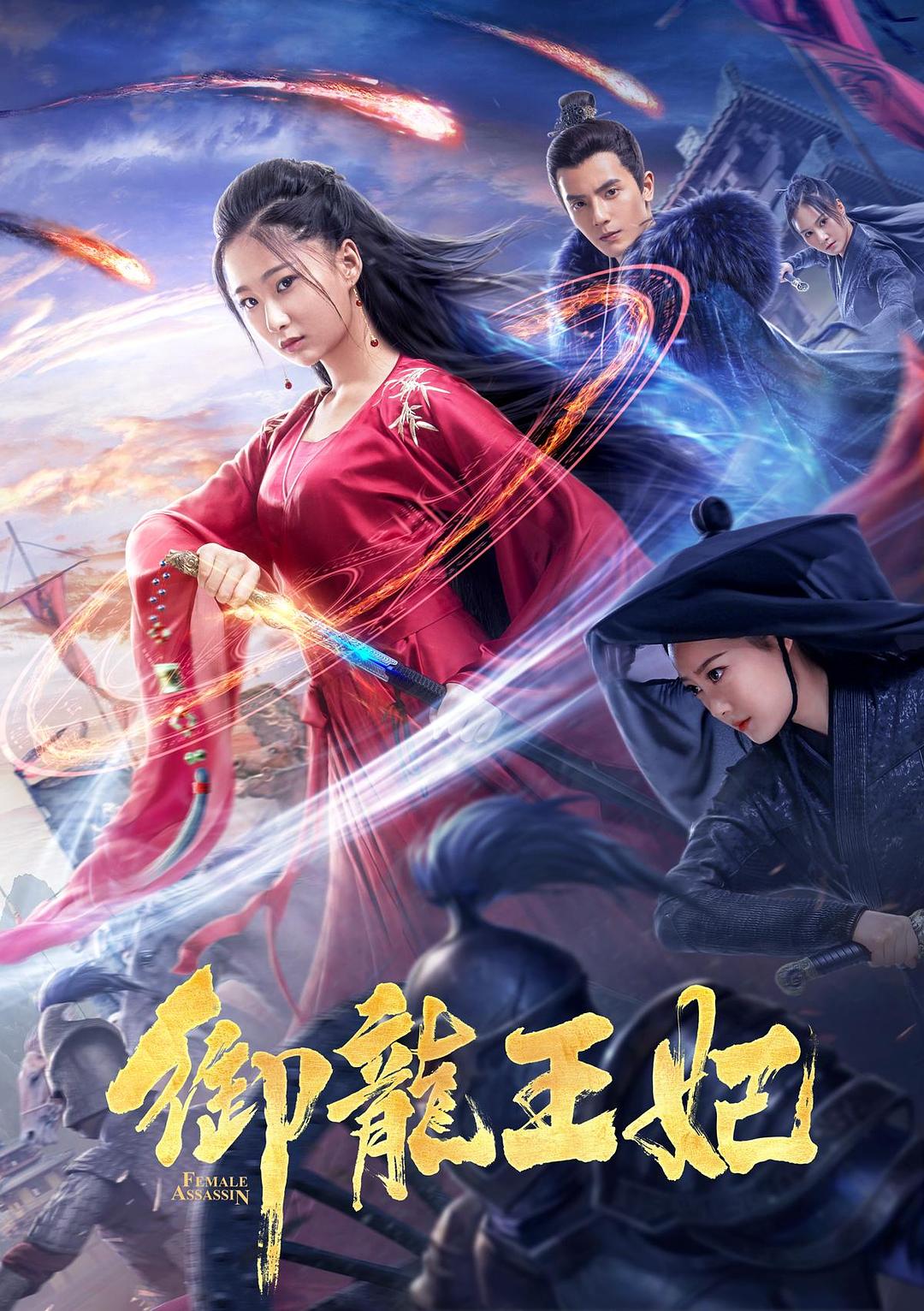 御龙王妃海报