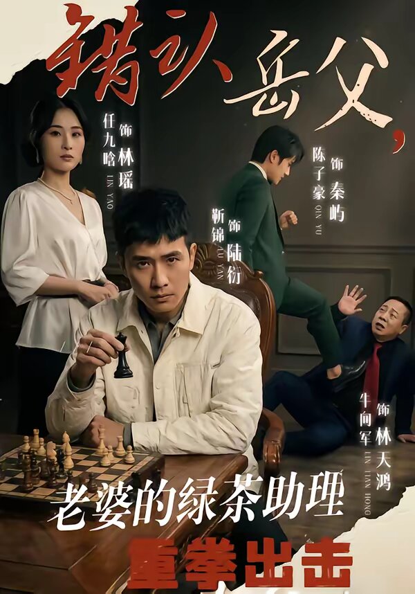 错认岳父，老婆的绿茶助理重拳出击海报
