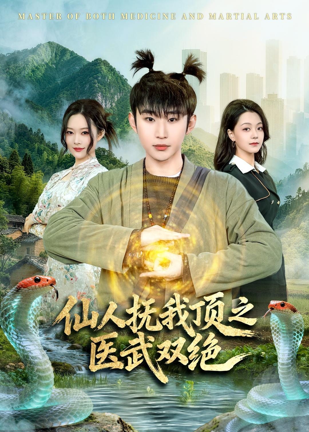 仙人抚我顶之医武双绝海报