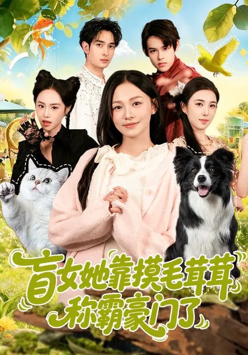 盲女她靠摸毛茸茸称霸豪门了海报