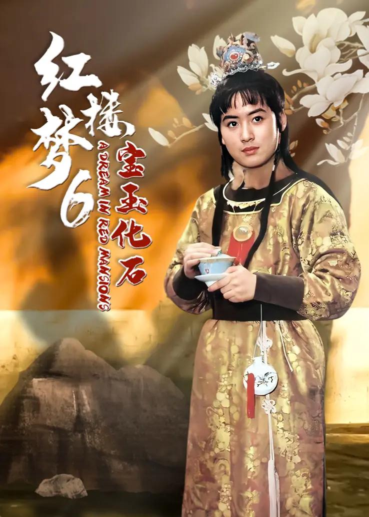 红楼梦第六部：宝玉化石海报